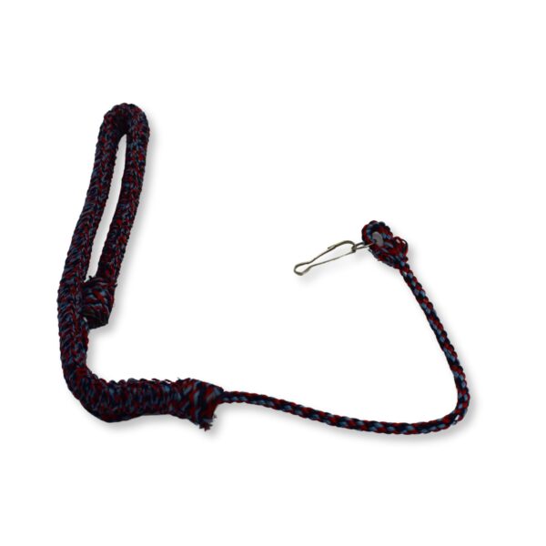 Lanyard